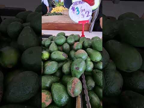 imagelist_title__LHFpP