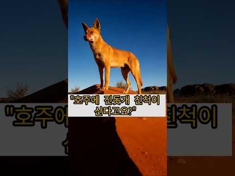 imagelist_title__LHFpP