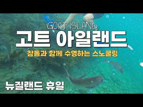 imagelist_title__LHFpP