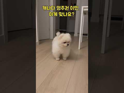 imagelist_title__LHFpP