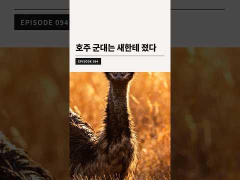 imagelist_title__LHFpP