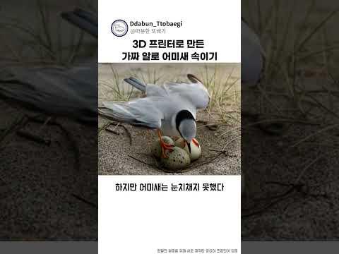 imagelist_title__LHFpP