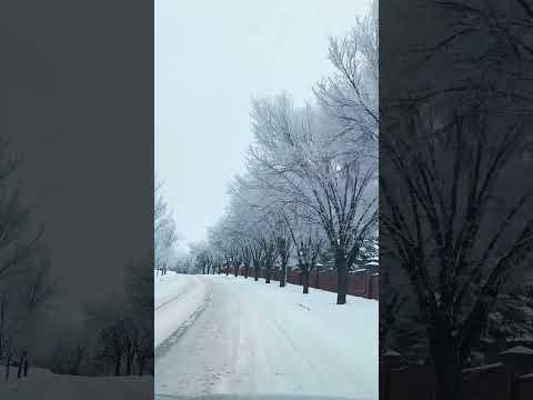 imagelist_title__LHFpP