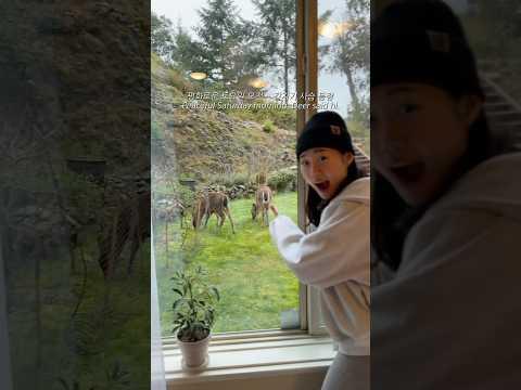 imagelist_title__LHFpP