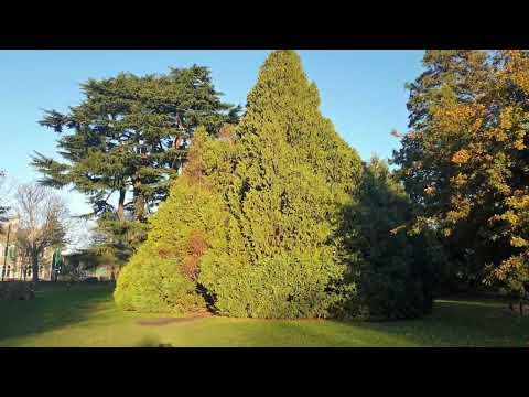 imagelist_title__LHFpP