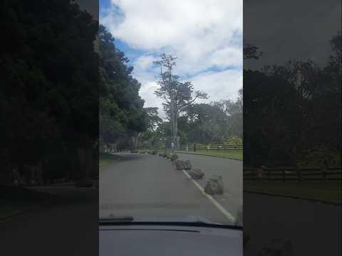 imagelist_title__LHFpP