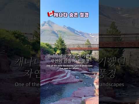 🇨🇦 캐나다에 이런 색의 협곡이 있다고? | 15억 년이 만든 레드락캐년 #캐나다여행 #캐나다워홀 #travel