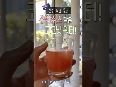 호주에서 만난 수박맛 나는 코코넛 워터🥥🍉5년째 최애 음료🫶 #호주추천템 #호주일상