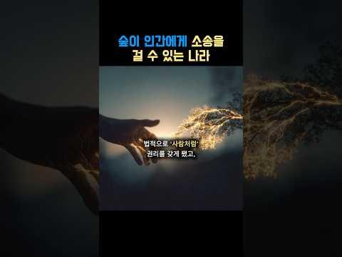 imagelist_title__LHFpP