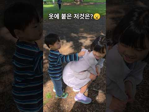 imagelist_title__LHFpP