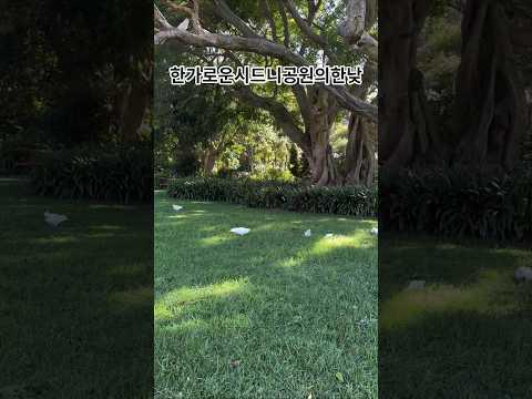 imagelist_title__LHFpP