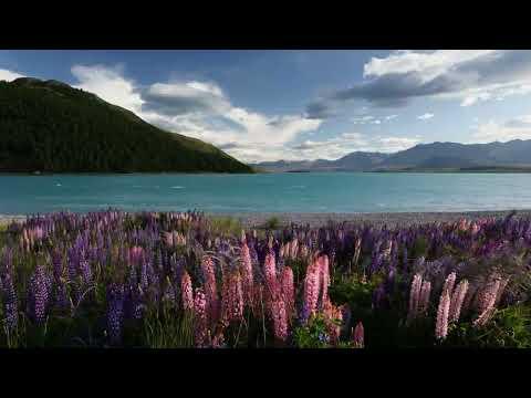 imagelist_title__LHFpP