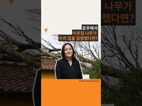호주에서 이웃집 나무가  우리 집을 침범했다면?  | 호주 생활 필수 정보 | 호주 SBS 한국어